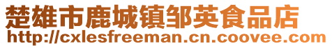 楚雄市鹿城镇邹英食品店