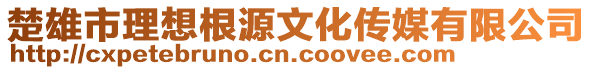 楚雄市理想根源文化傳媒有限公司