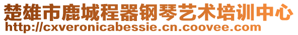 楚雄市鹿城程器钢琴艺术培训中心