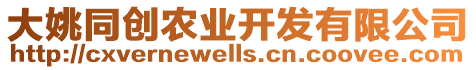 大姚同創(chuàng)農(nóng)業(yè)開發(fā)有限公司