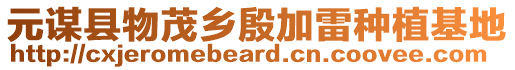 元謀縣物茂鄉(xiāng)殷加雷種植基地