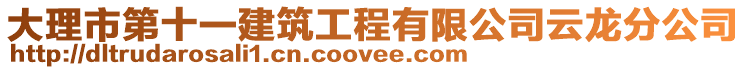 大理市第十一建筑工程有限公司云龍分公司