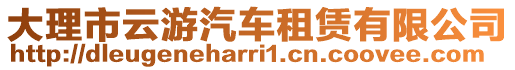 大理市云游汽車租賃有限公司