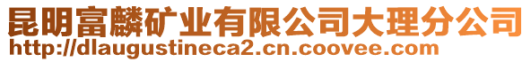 昆明富麟礦業(yè)有限公司大理分公司