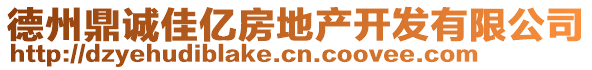 德州鼎誠佳億房地產(chǎn)開發(fā)有限公司