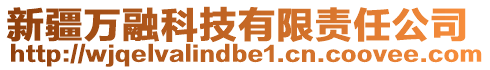 新疆萬融科技有限責任公司