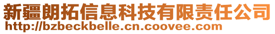 新疆朗拓信息科技有限責(zé)任公司