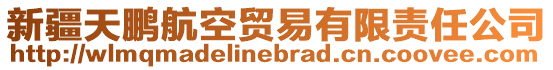 新疆天鹏航空贸易有限责任公司