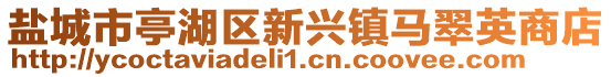 盐城市亭湖区新兴镇马翠英商店