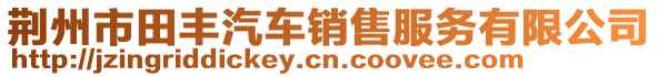 荆州市田丰汽车销售服务有限公司