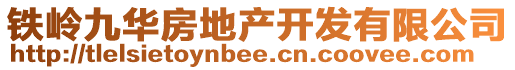 铁岭九华房地产开发有限公司