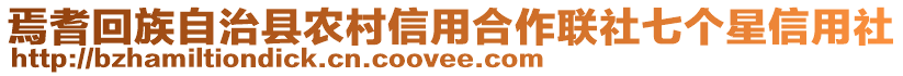 焉耆回族自治县农村信用合作联社七个星信用社