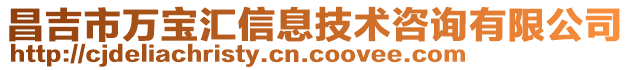 昌吉市萬寶匯信息技術(shù)咨詢有限公司