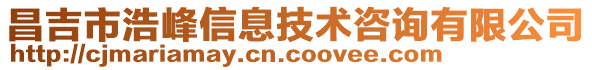 昌吉市浩峰信息技術(shù)咨詢有限公司