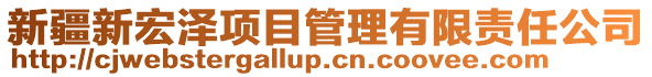 新疆新宏泽项目管理有限责任公司