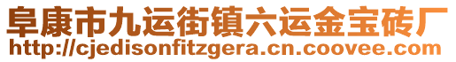 阜康市九運街鎮(zhèn)六運金寶磚廠