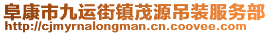 阜康市九運(yùn)街鎮(zhèn)茂源吊裝服務(wù)部