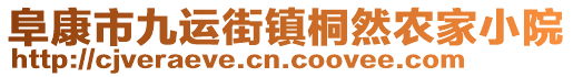 阜康市九運(yùn)街鎮(zhèn)桐然農(nóng)家小院