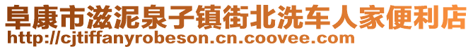 阜康市滋泥泉子鎮(zhèn)街北洗車人家便利店