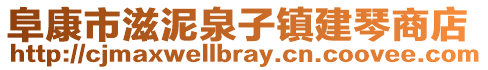 阜康市滋泥泉子鎮(zhèn)建琴商店