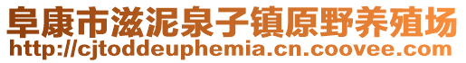 阜康市滋泥泉子镇原野养殖场