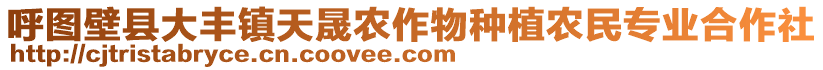 呼圖壁縣大豐鎮(zhèn)天晟農(nóng)作物種植農(nóng)民專業(yè)合作社