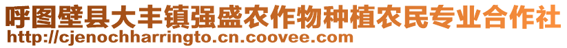 呼圖壁縣大豐鎮(zhèn)強盛農(nóng)作物種植農(nóng)民專業(yè)合作社