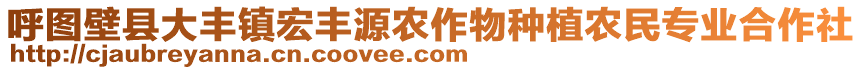 呼圖壁縣大豐鎮(zhèn)宏豐源農(nóng)作物種植農(nóng)民專業(yè)合作社