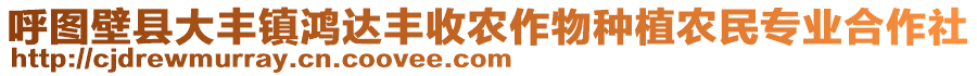 呼图壁县大丰镇鸿达丰收农作物种植农民专业合作社