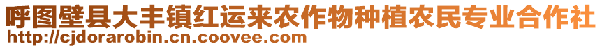 呼圖壁縣大豐鎮(zhèn)紅運(yùn)來(lái)農(nóng)作物種植農(nóng)民專(zhuān)業(yè)合作社