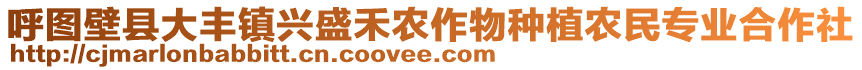 呼圖壁縣大豐鎮(zhèn)興盛禾農(nóng)作物種植農(nóng)民專業(yè)合作社