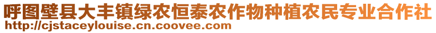 呼圖壁縣大豐鎮(zhèn)綠農(nóng)恒泰農(nóng)作物種植農(nóng)民專業(yè)合作社