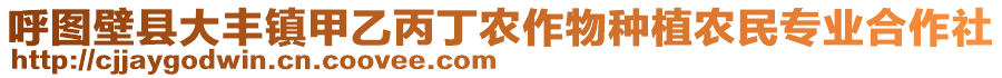 呼圖壁縣大豐鎮(zhèn)甲乙丙丁農(nóng)作物種植農(nóng)民專業(yè)合作社