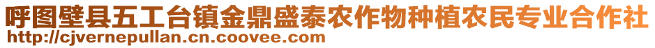 呼圖壁縣五工臺鎮(zhèn)金鼎盛泰農(nóng)作物種植農(nóng)民專業(yè)合作社