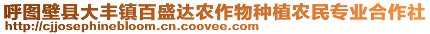 呼圖壁縣大豐鎮(zhèn)百盛達(dá)農(nóng)作物種植農(nóng)民專業(yè)合作社