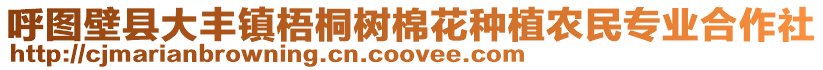 呼圖壁縣大豐鎮梧桐樹棉花種植農民專業合作社