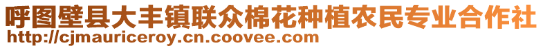 呼圖壁縣大豐鎮(zhèn)聯(lián)眾棉花種植農(nóng)民專業(yè)合作社