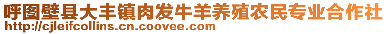 呼圖壁縣大豐鎮(zhèn)肉發(fā)牛羊養(yǎng)殖農(nóng)民專業(yè)合作社