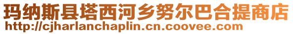 玛纳斯县塔西河乡努尔巴合提商店