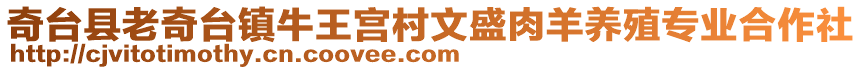 奇臺(tái)縣老奇臺(tái)鎮(zhèn)牛王宮村文盛肉羊養(yǎng)殖專業(yè)合作社