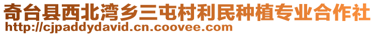 奇臺縣西北灣鄉(xiāng)三屯村利民種植專業(yè)合作社