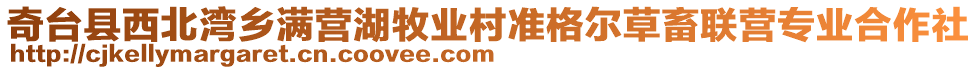 奇臺(tái)縣西北灣鄉(xiāng)滿營湖牧業(yè)村準(zhǔn)格爾草畜聯(lián)營專業(yè)合作社