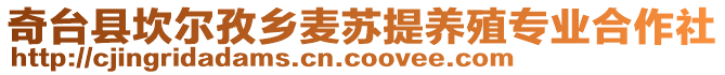 奇臺(tái)縣坎爾孜鄉(xiāng)麥蘇提養(yǎng)殖專業(yè)合作社