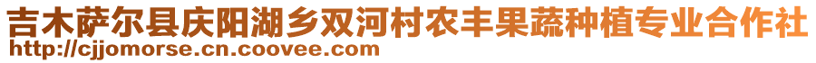 吉木萨尔县庆阳湖乡双河村农丰果蔬种植专业合作社