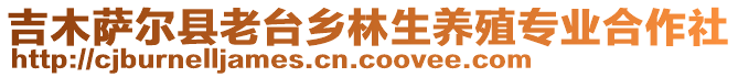 吉木薩爾縣老臺鄉(xiāng)林生養(yǎng)殖專業(yè)合作社