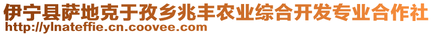 伊宁县萨地克于孜乡兆丰农业综合开发专业合作社