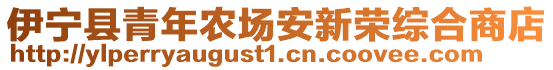 伊宁县青年农场安新荣综合商店