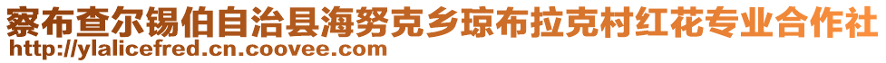 察布查爾錫伯自治縣海努克鄉(xiāng)瓊布拉克村紅花專業(yè)合作社