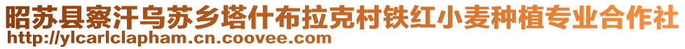 昭蘇縣察汗烏蘇鄉(xiāng)塔什布拉克村鐵紅小麥種植專業(yè)合作社