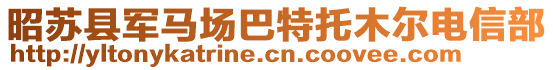 昭苏县军马场巴特托木尔电信部